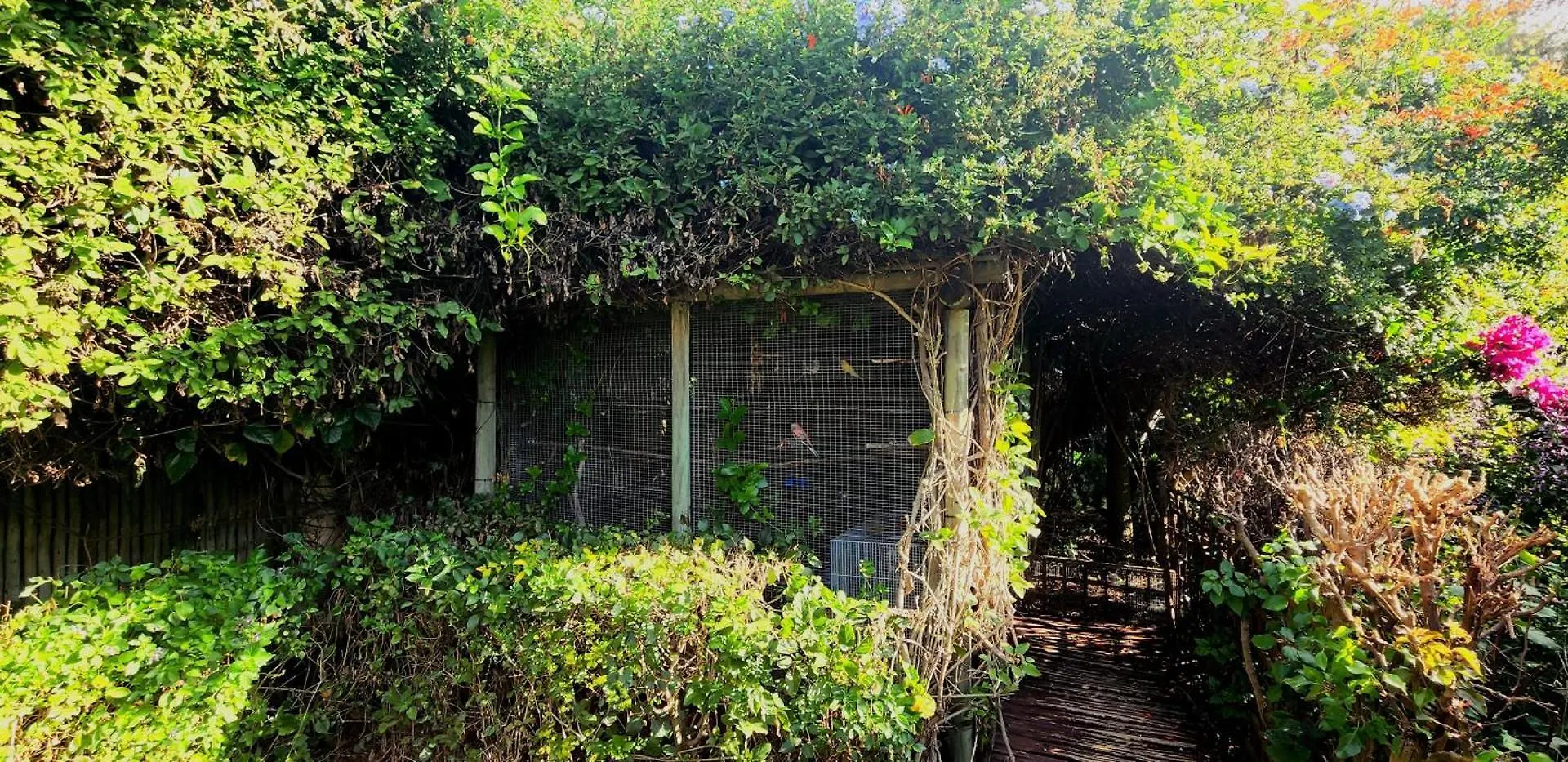 Tuinvrede Guesthouse Welgemoed Appartement